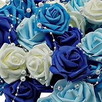 71f1dzIn+IL._AC_UL210_SR210,